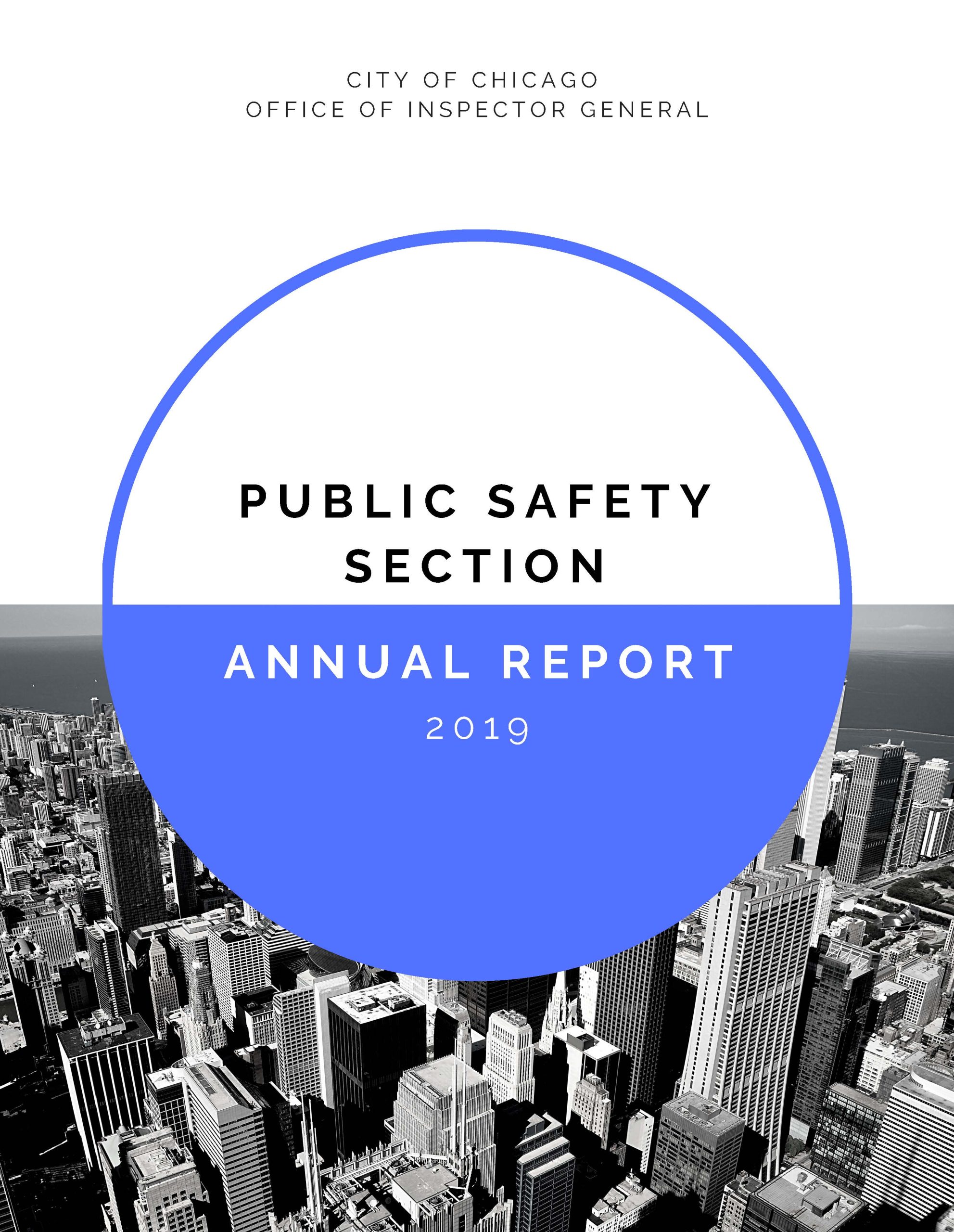 Public Safety Section Annual Report 2019 - publication cover