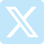 X Icon